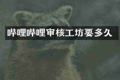 哔哩哔哩审核工坊要多久