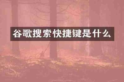 谷歌搜索快捷键是什么