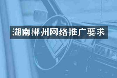 湖南郴州网络推广要求