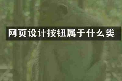 网页设计按钮属于什么类