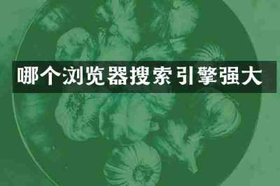 哪个浏览器搜索引擎强大