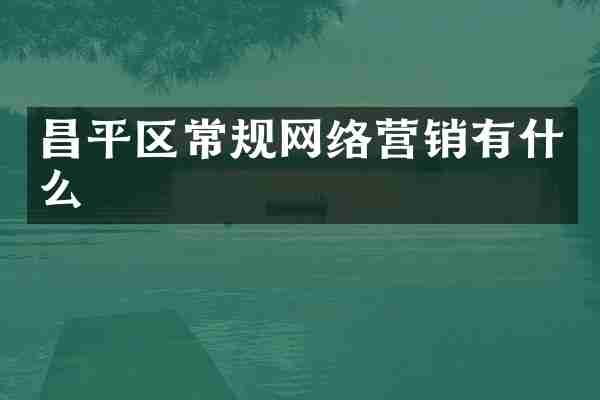 昌平区常规网络营销有什么