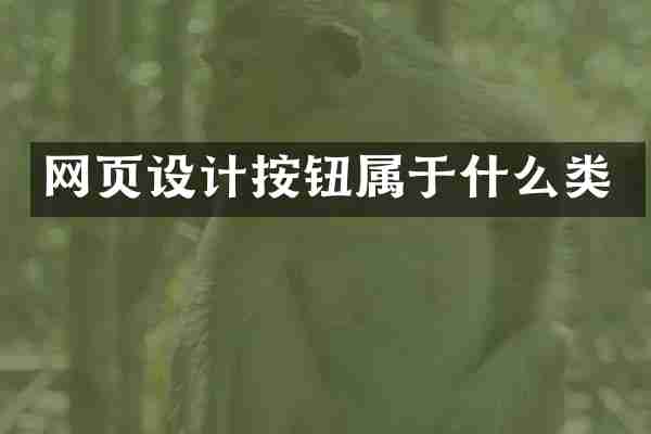 网页设计按钮属于什么类