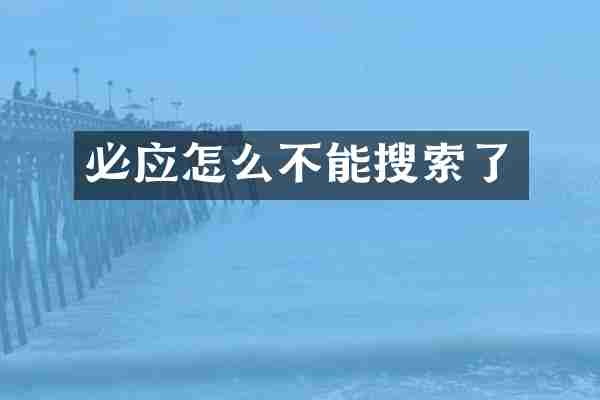 必应怎么不能搜索了