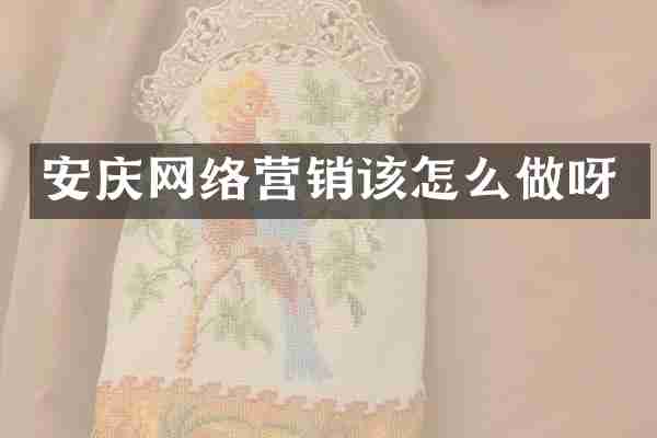安庆网络营销该怎么做呀