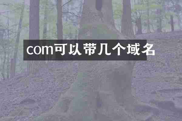 com可以带几个域名
