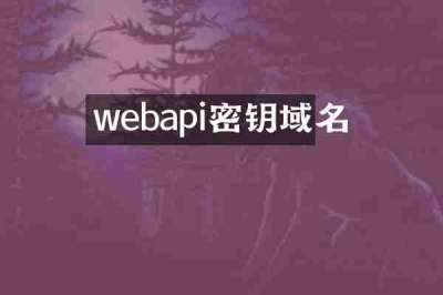 webapi密钥域名