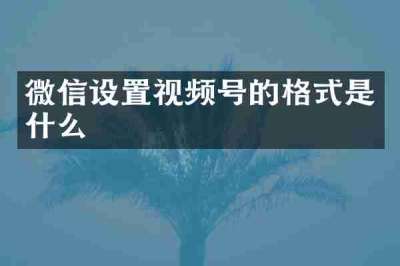 微信设置视频号的格式是什么