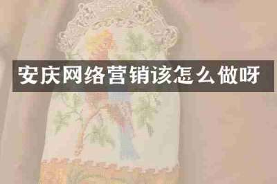 安庆网络营销该怎么做呀