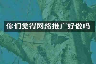 你们觉得网络推广好做吗
