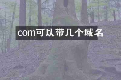 com可以带几个域名