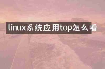 linux系统应用top怎么看