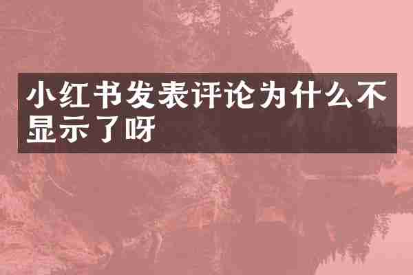 小红书发表评论为什么不显示了呀