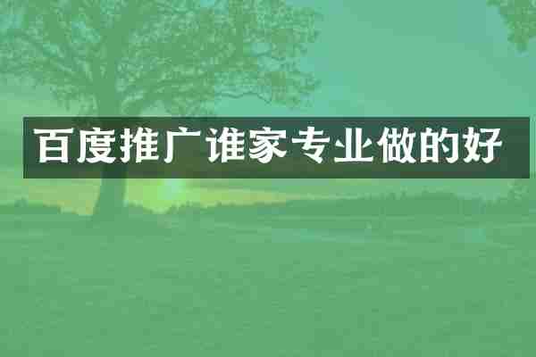百度推广谁家专业做的好