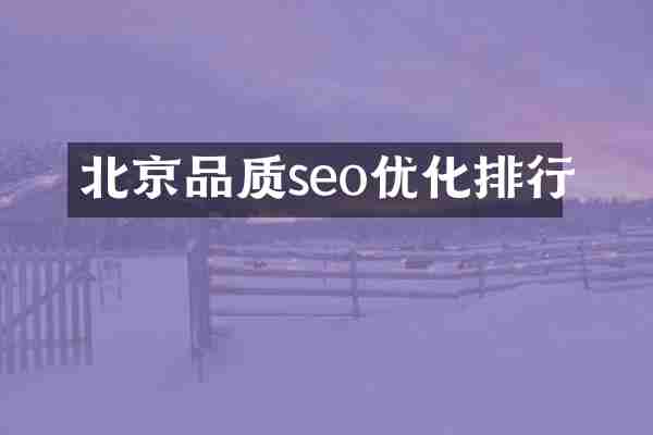 北京品质seo优化排行