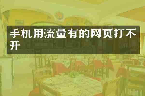 手机用流量有的网页打不开