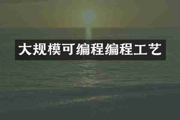 大规模可编程编程工艺