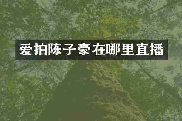 爱拍陈子豪在哪里直播