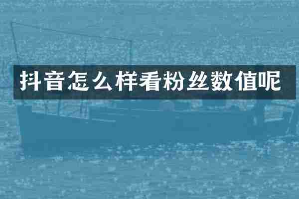 抖音怎么样看粉丝数值呢