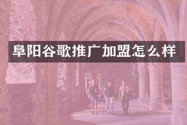 阜阳谷歌推广加盟怎么样