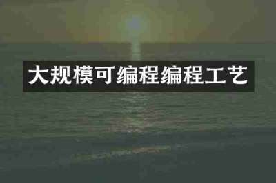大规模可编程编程工艺