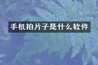 手机拍片子是什么软件