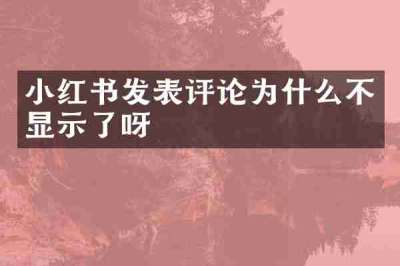 小红书发表评论为什么不显示了呀