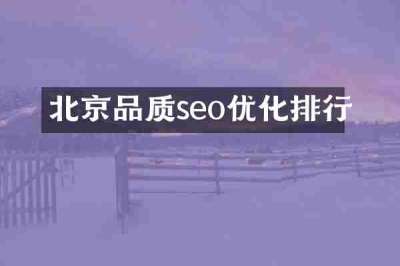 北京品质seo优化排行