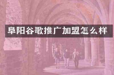 阜阳谷歌推广加盟怎么样