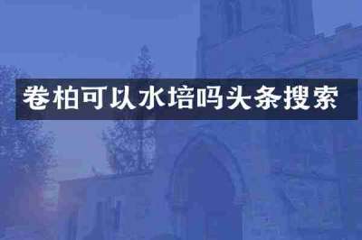 卷柏可以水培吗头条搜索