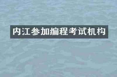 内江参加编程考试机构
