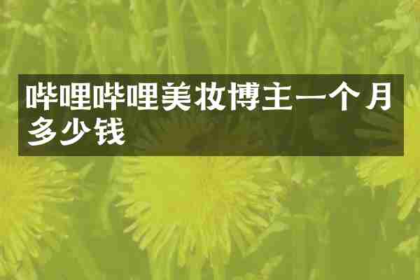 哔哩哔哩美妆博主一个月多少钱