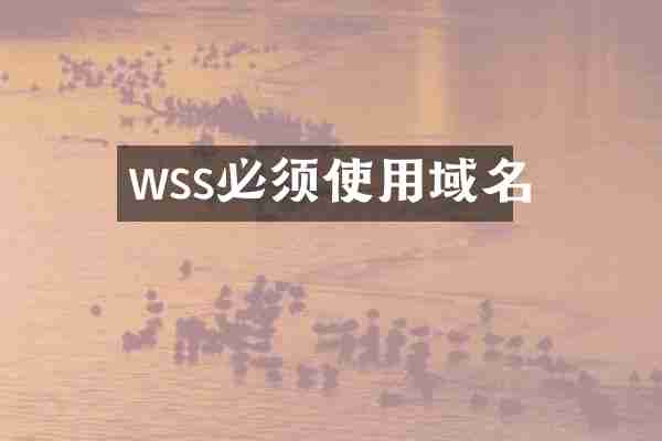 wss必须使用域名
