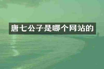 唐七公子是哪个网站的