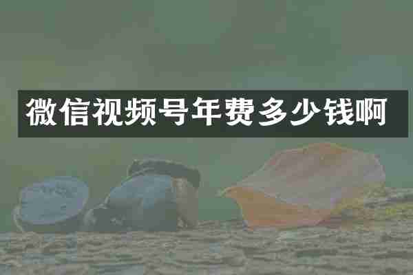 微信视频号年费多少钱啊