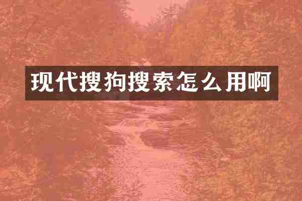 现代搜狗搜索怎么用啊
