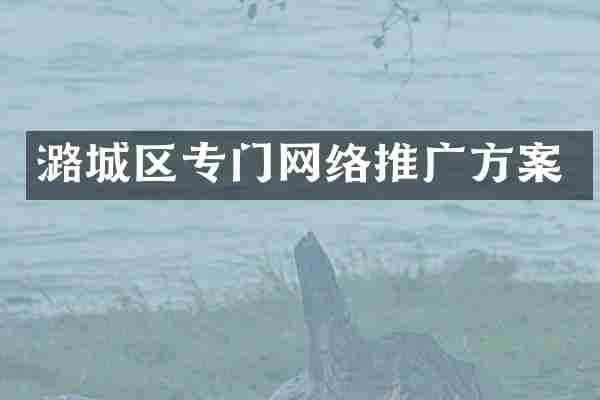 潞城区专门网络推广方案