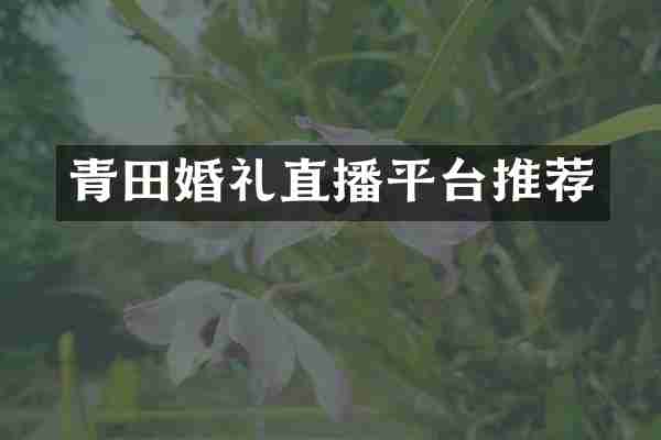 青田婚礼直播平台推荐