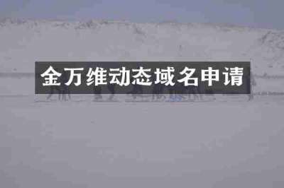 金万维动态域名申请