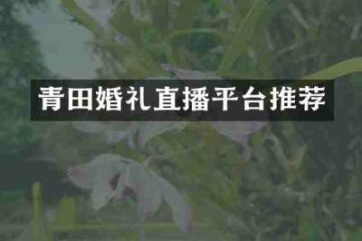 青田婚礼直播平台推荐