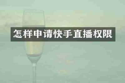 怎样申请快手直播权限