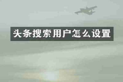 头条搜索用户怎么设置