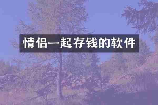 情侣一起存钱的软件