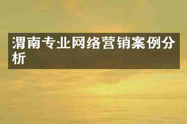 渭南专业网络营销案例分析