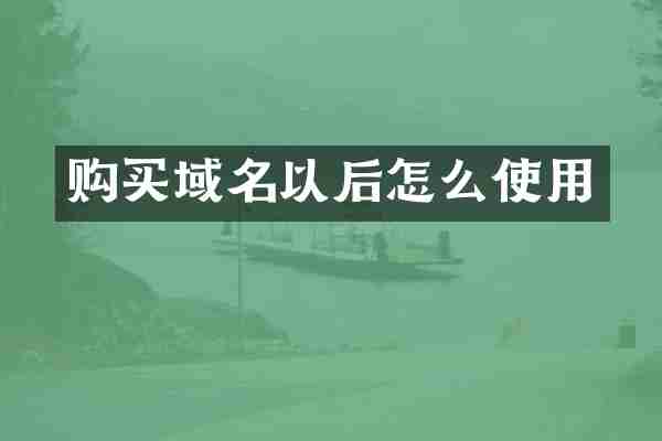 购买域名以后怎么使用
