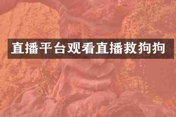 直播平台观看直播救狗狗