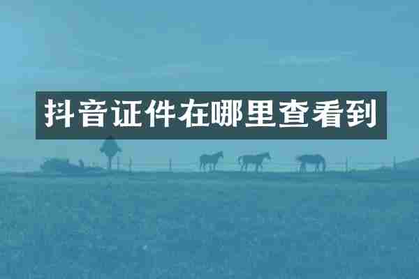 抖音证件在哪里查看到