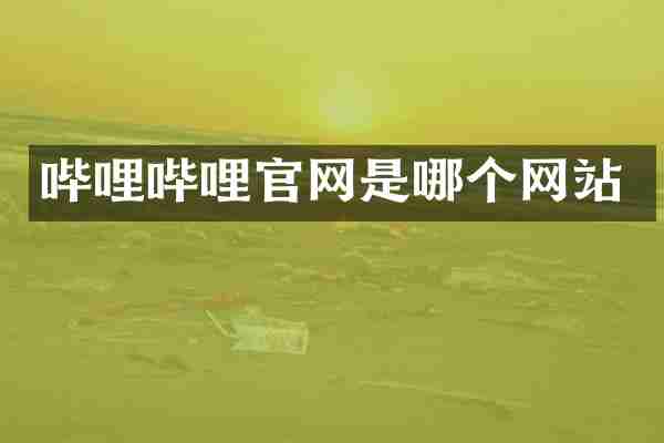 哔哩哔哩官网是哪个网站