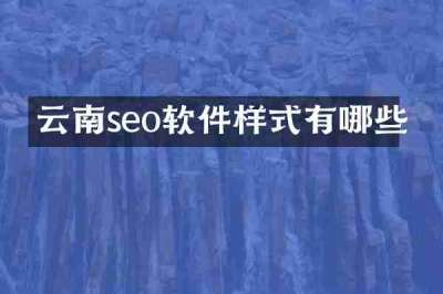 云南seo软件样式有哪些
