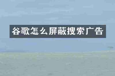 谷歌怎么屏蔽搜索广告